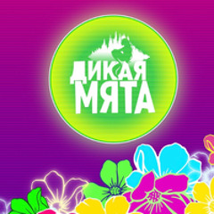 Ща будете течь 33 Дикая Мята 2021