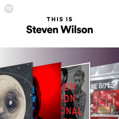 This Is Steven Wilson