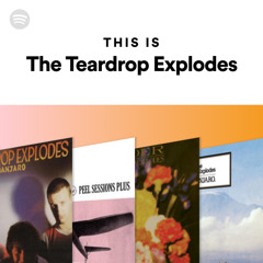 This Is The Teardrop Explodes