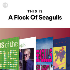 This Is A Flock Of Seagulls
