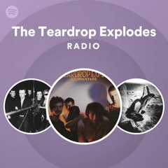 The Teardrop Explodes Radio