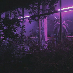 Witch House