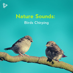 Nature Sounds: Birds Chirping