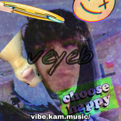 vibe.kam.music/