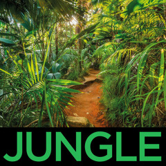 JUNGLE / OLDSCHOOL DNB