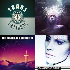 Ultimate Synth & EBM selection