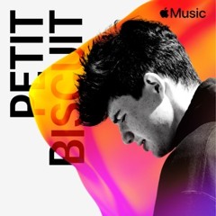 Petit Biscuit : à la plage