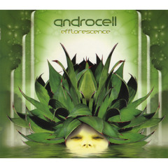 Androcell – Efflorescence [CD Rec 003](Chill-out / Psy-dub / Downtempo)