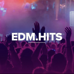EDM Hits 2012-2021