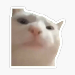 CatVibe
