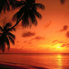 Hear The Sunset Pt. III