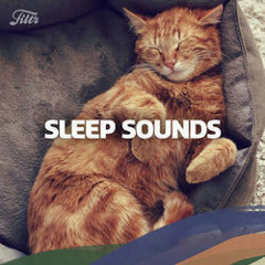 SLEEP SOUNDS