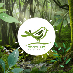 Soothing Relaxation