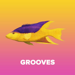 Funky House Grooves  French House