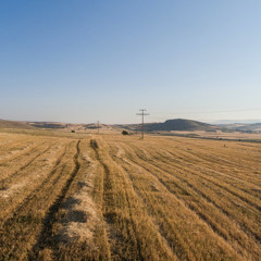 39°14'N