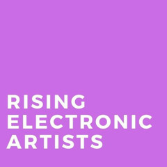 Rising Electronic Artists