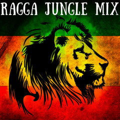 Ragga Jungle/Drum & Bass Mix (faXcooL HD)