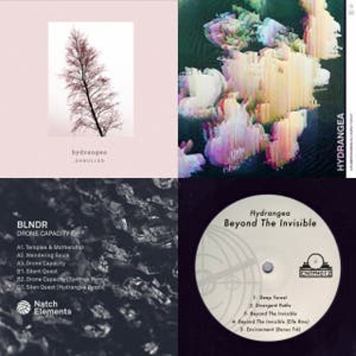 BLNDR – Drone Capacity E.P.