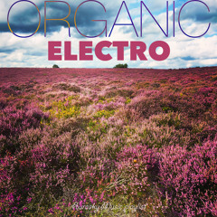 Organic Electro⎟Aurasky Music
