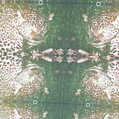 idon’tcare (ft.fkthrax)