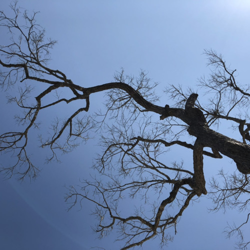 Đâu Đó Giờ Này - Đức Trí Demo