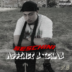 Seschini - ASSINEI O TERMO