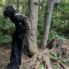 pso