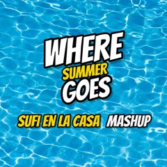 Calvin Harris x Bad Bunny - Where Summer Goes (Sufi en la casa Mashup)