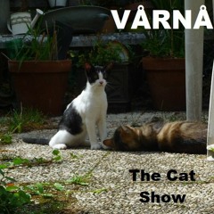 VÅRNÅ - The Cat Show - 17.12.2023