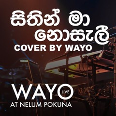 WAYO (Live) Sithin Ma Nosali සතන ම නසල (Cover)