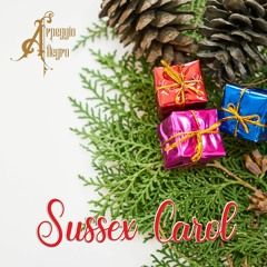 Sussex Carol 🎅  No copyright sound 🎅