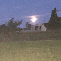 Do you really love me like you say you do?(Prod.pyctur)