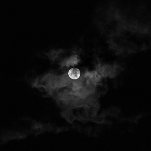 خليني معاك ده أنا راحة قلبي معاك