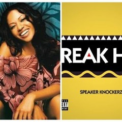 Amerie x Speaker Knockerz - Why Don't We Fall In Love Freak Hoe (Mash Up) By @DJBabyButta