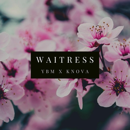 Ya Boy Mo x K'Nova - "WAITRESS"