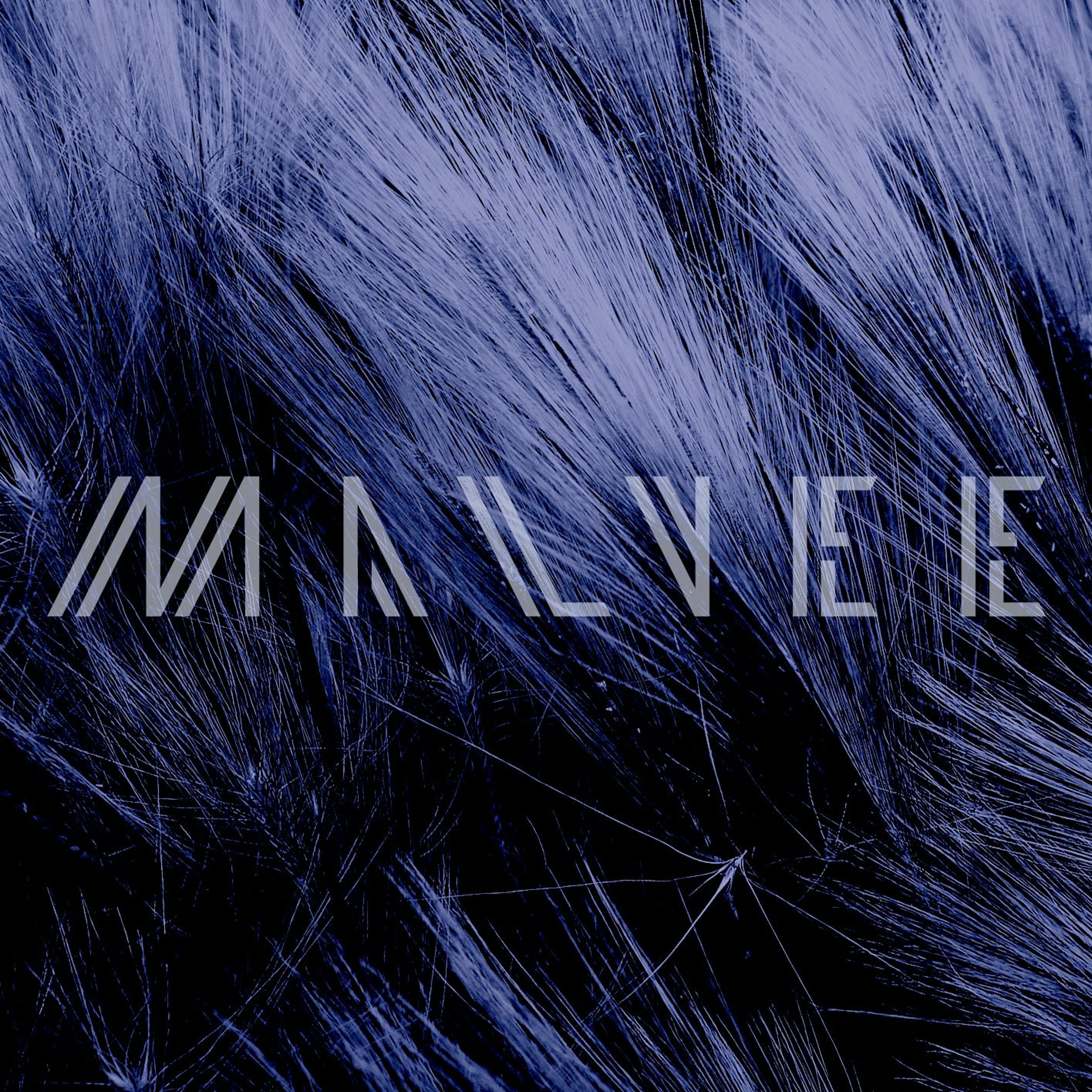 malvee