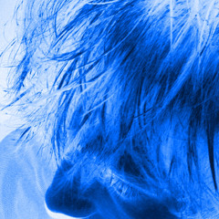 blue flower