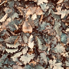 The Nature Of Miracles