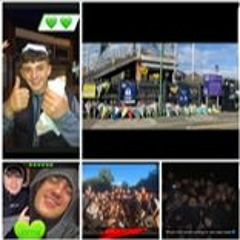 RIP Jamie Mckitten