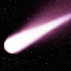 Leuchtbock (30.11.2020)