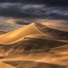 Desert Wind