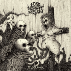 The Whip And The Body