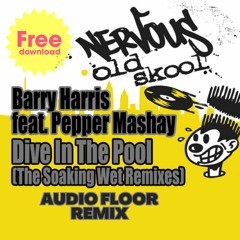Barry Harris - Dive in the Pool (Audio Floor Remix) Free Download