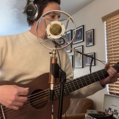 You're the Devil in Disguise - Elvis (cover)