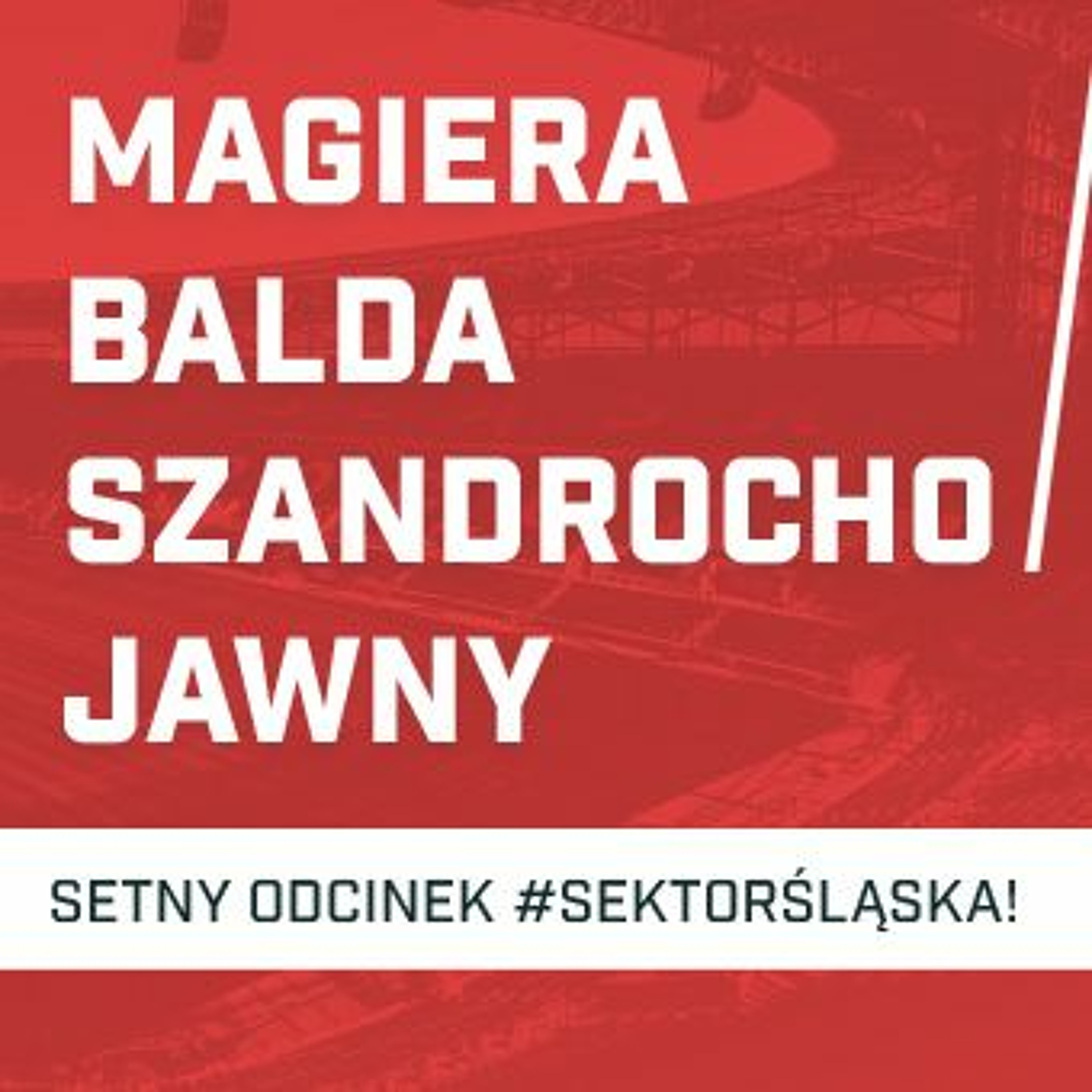 Śląsknet