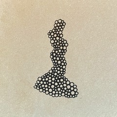 Birthday Bootlegz 👢