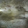 Siooqh Tales ༶ Liquid Bomb DJ mix artwork - Electronic music tracklist cover image