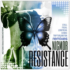 Resistance (Lowfreak's Sunset Remix)