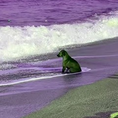 I Sat by the Ocean