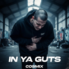 In Ya Guts (Free DL)